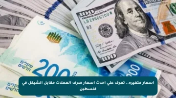 أسعار متغيرة.. تعرف على أحدث أسعار صرف العملات مقابل الشيكل في فلسطين